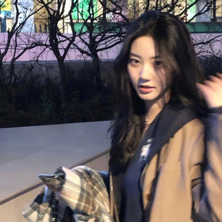 阿尔法爸爸